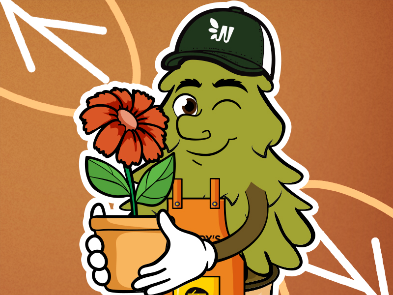 1_CP_BlogSale_Woody_s_10