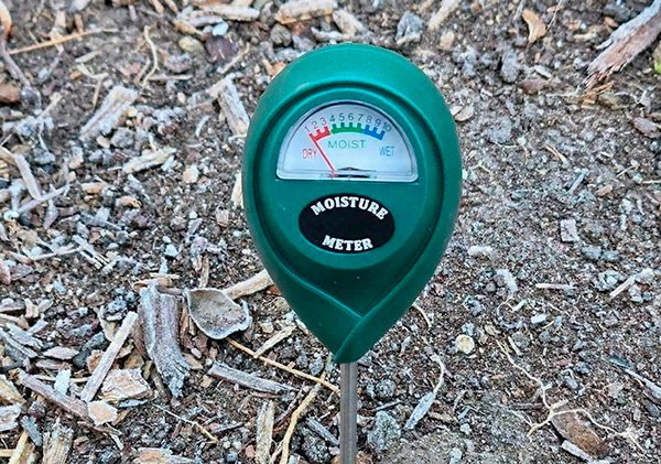 Using a soil moisture meter