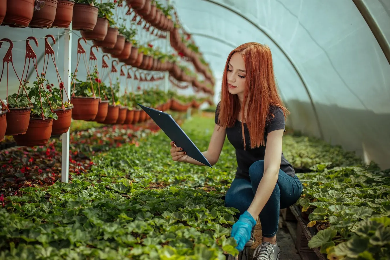 Winter High Tunnel Production