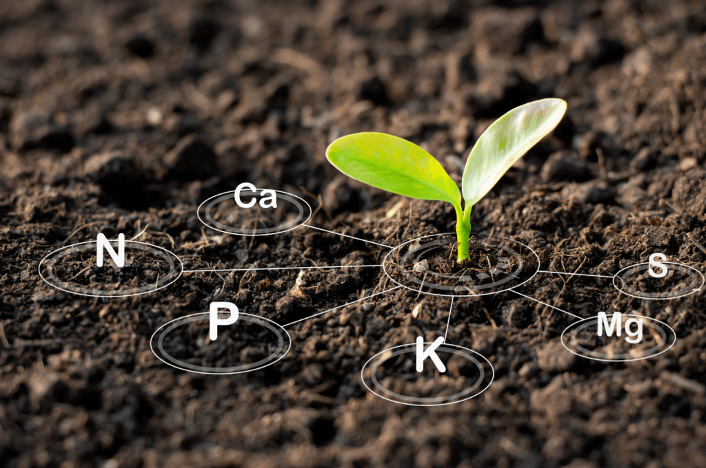 Ccompost at garden