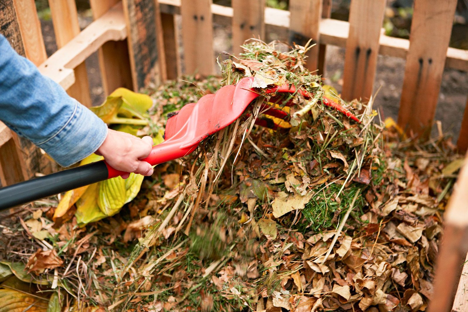 Ccompost at garden