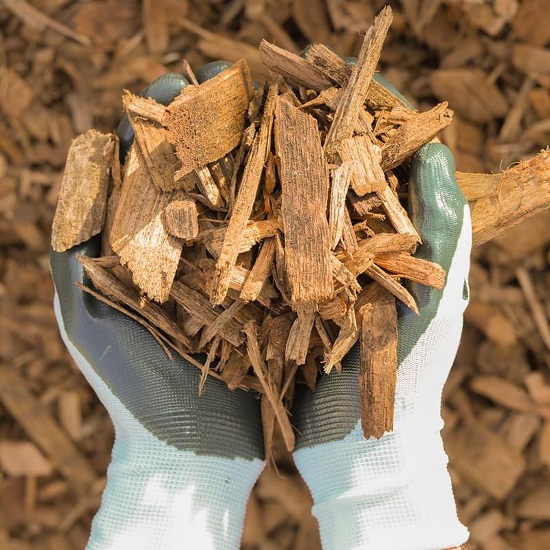 Wood chips and mulch from recycled trees