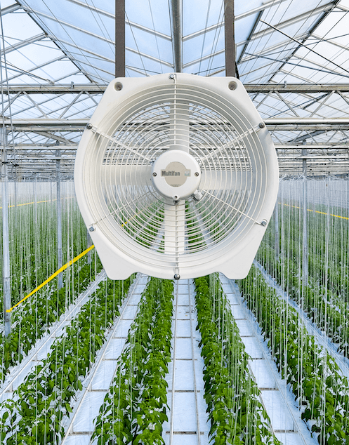 Greenhouse Ventilation and Airflow