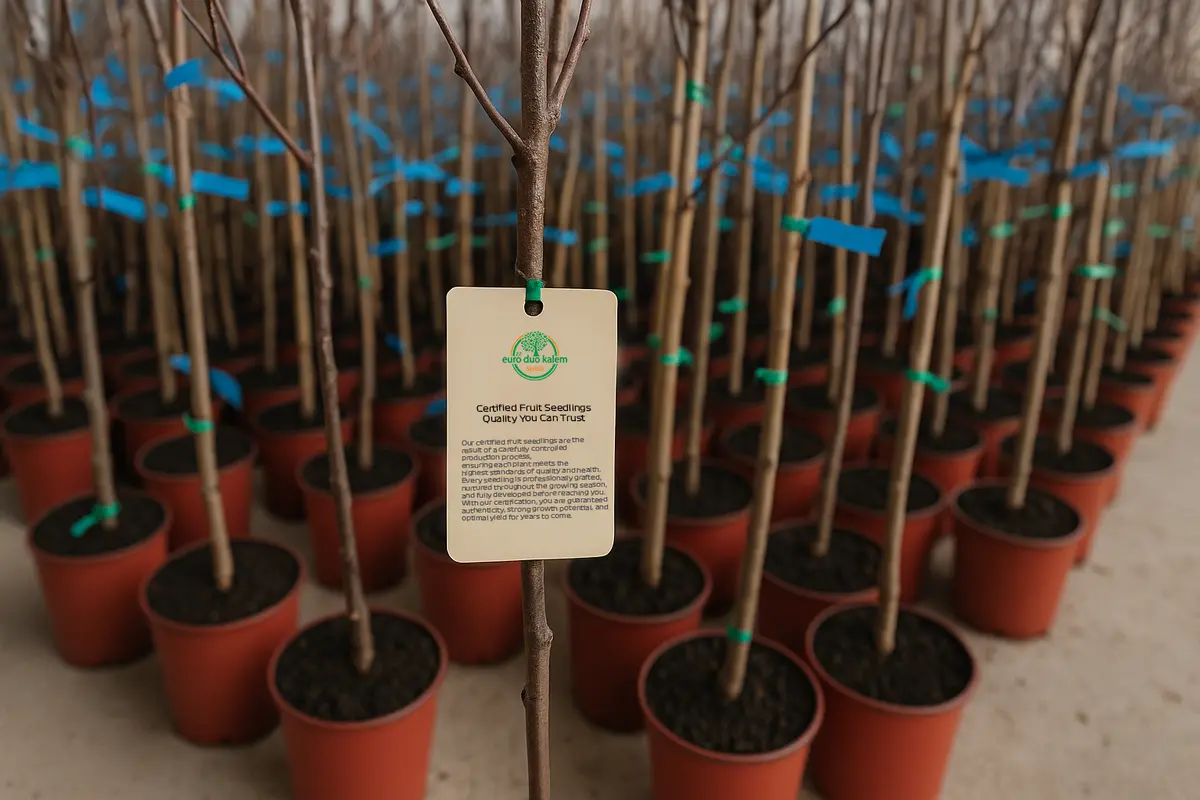 Plant Quarantine Inspection