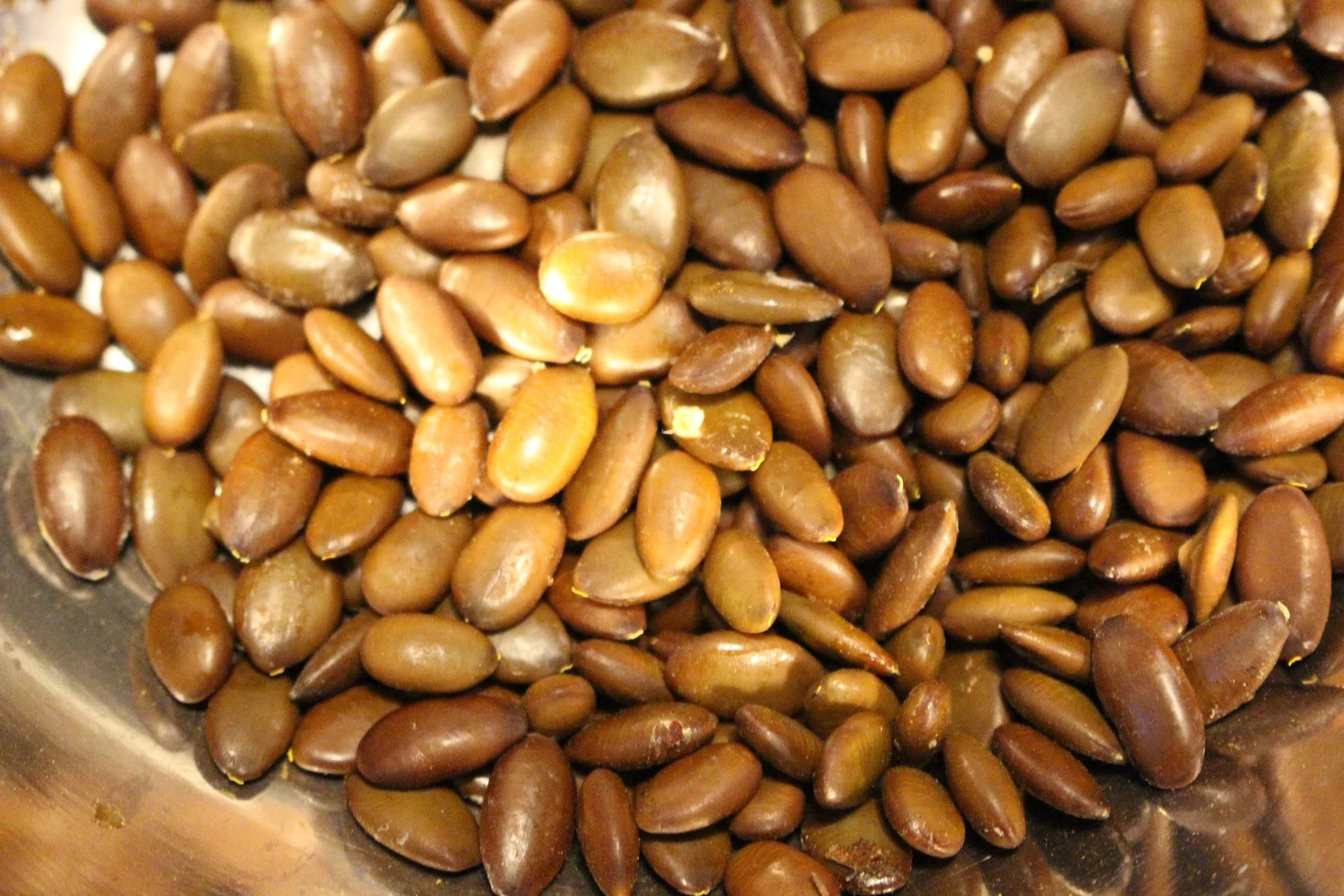 Edible seeds and pods
