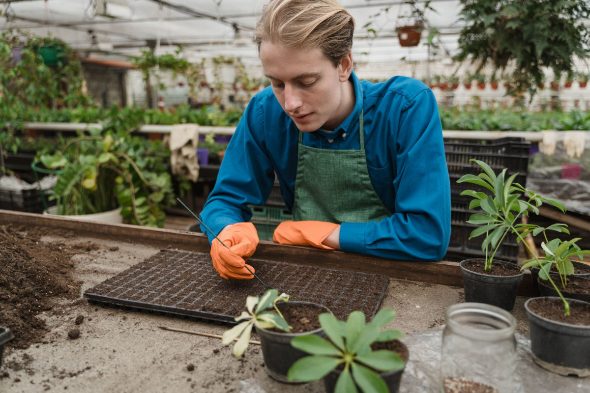 Nursery worker in long sleeves and gloves preparing soil for planting