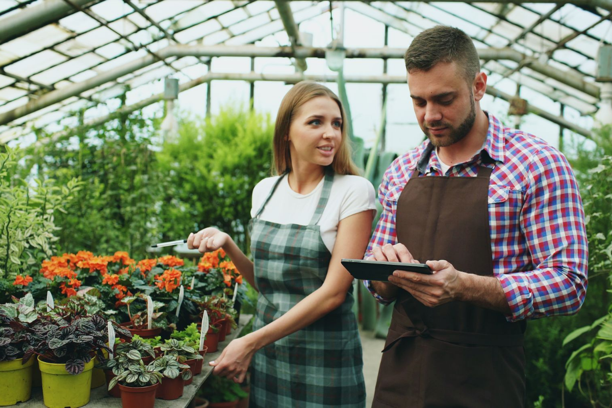Two greenhouse workers reviewing figures on a tablet among potted plants