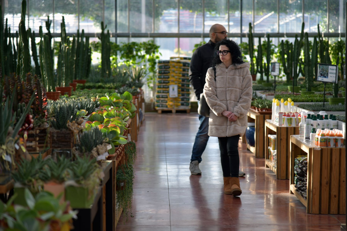 Customers browsing potted plants inside a bright garden center