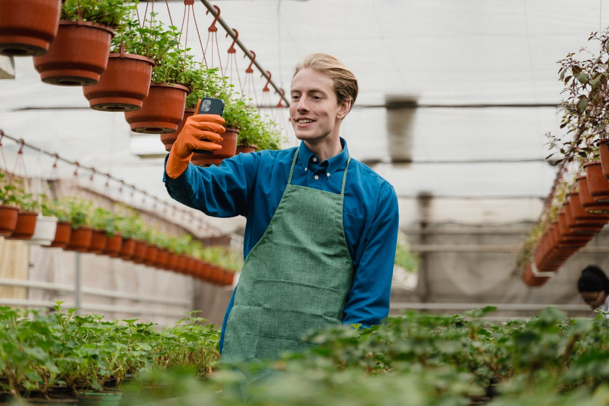 Gardener using a cellphone while holding a potted plant in a greenhouse